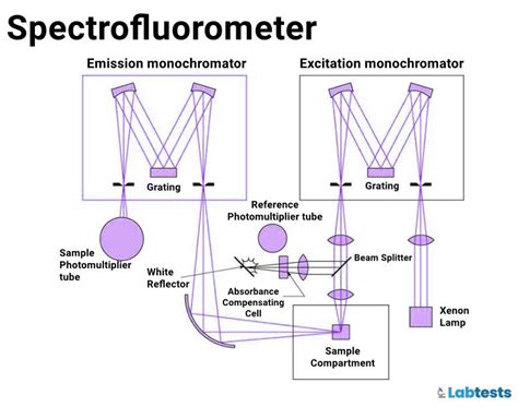 luminometer principle|luminometer and fluorometer.